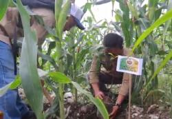 Jaga Kelestarian Alam, Jurnalis Televisi Tanam Pohon di Kawasan Hutan Jatiopohon Grobogan