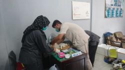 Cegah Penyakit Zoonosis, Disnakeswan Tulungagung Gelar Sterilisasi Kucing Gratis