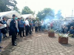 Cianjur Musnahkan Tanaman Khat, BNN Telusuri Jaringan Penanam Narkotika Golongan I