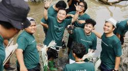 Tekan Emisi Karbon, Ribuan Mangrove di Tanam di Surabaya, Warga Pesisir Terharu!