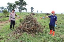 Viral Aksi Pembabatan Kebun Teh Pangalengan, Polisi Turun Tangan dan Lakukan Penyelidikan