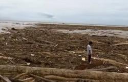 Aparat Penegak Hukum Diminta Turun Tangan Telusuri Kayu Gelondongan yang Terseret Banjir Sumut