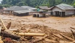 Buntut Bencana Sumatera, Tata Kelola Hutan dan Lingkungan Hidup di Indonesia Bakal Dievaluasi Total