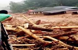 Viral Ribuan Kayu Gelondongan Terseret Arus Banjir Bandang di Sumut, Ini Penjelasan Kemenhut