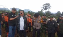 140 Ha Lahan Kebun Teh PTPN I Dijarah, 91 Ribu Pohon Teh Ditebang Oknum Petani