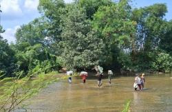 Potret Petani Desa Wanarata Pemalang, Bertaruh Nyawa Menyeberangi Sungai Demi Mengangkut Hasil Panen