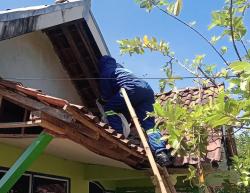 Sempat Sengat Penghuni Rumah, Sarang Tawon Vespa Berhasil Dievakuasi