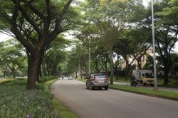 Jaga Lingkungan Bekasi, LPCK Tingkatkan Standar Kawasan Hijau dengan Investasi Rp18 Miliar