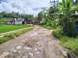 Warga Keluhkan Jalan Rusak di Desa Ciparahu Terabaikan