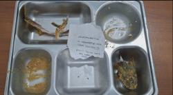 Pesan Kecil Dalam Ompreng, Cara Siswa Garahan Mengapresiasi dan Mengkritik Menu MBG