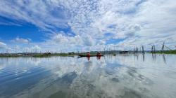 Mahasiswa Kesehatan Meretas Peliknya Rawa Pening, Padi Apung Jadi Harapan Baru