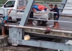 Terekam Drone, Pengusaha Diduga Sengaja Buang Limbah Ayam ke Sungai Brantas Ploso, Bau Menyengat!