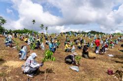 Pulau Kenawa Dihijaukan Lagi! Program Pesisir untuk Cegah Abrasi