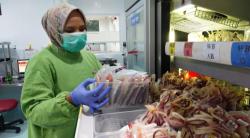 PMI Jember Kirim 100 Kantong Darah untuk Korban Banjir Bandang dan Longsor di Sumatera dan Aceh