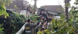 Angin Puting Beliung dan Hujan es Terjang 5 Desa di Bondowoso, Pohon Tumbang dan Atap Rumah Rusak