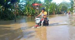Hujan Deras Sungai Meluap, Tujuh Desa di Jombang Terendam Banjir