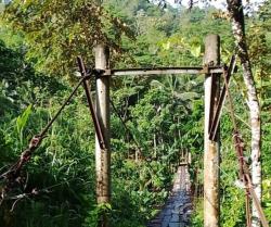 Jembatan Gantung Cinangkerok Nyaris Ambruk, Warga Hidup dalam Ketakutan Setiap Hari