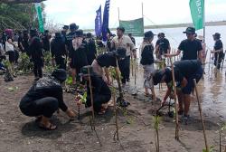 Cegah Abrasi dan Intrusi, 5.000 Batang Mangrove Ditanam di Pantai Baros Bantul