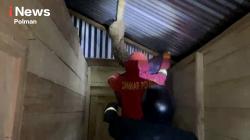 Ancaman Tawon Vespa di Wonomulyo, Damkar Polman Bergerak Tiga Kali dalam Satu Malam