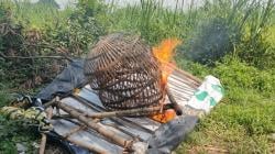 Perang Total Lawan Judi! Kapolsek Prambon Tegas: Habisi Sarang Sabung Ayam