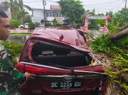 Hujan Deras, Mobil Tertimpa Pohon di Depan Kantor Dishub Sulbar
