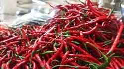 Harga Cabai di Lebak Melonjak akibat Curah Hujan Tinggi