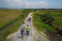 Banten Selatan Auto Gaspol! Pemprov Jor-Joran Bangun 80 KM Jalan Usaha Tani.