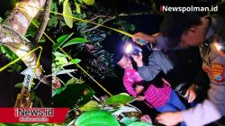 Tragedi Malam di Kebun Durian: Warga Pulliwa Tewas Tergantung, Keluarga Pilih Diam