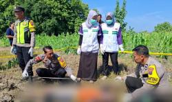 Pergi Membajak Sawah, Pria di Tambakrejo Bojonegoro Ditemukan Tak Bernyawa