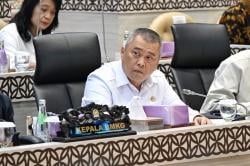 Kemenhub Siapkan 33 Ribu Kuota Mudik Gratis Nataru, Yuk Segera Daftar!