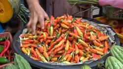 Jelang Natal, Harga Cabai di Pasar Kahayan Palangkaraya Tembus Rp130 Ribu per Kilogram