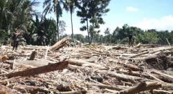 Kayu Hanyut Jadi Aset Rekonstruksi Pascabanjir, Pemerintah Siapkan Mekanisme Ketat