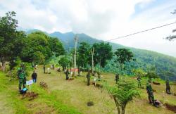 TNI Tanam Ribuan Pohon di Kawasan Lereng Gunung Ciremai