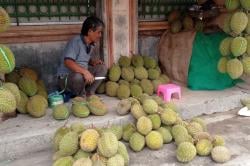 Kawasan Adat Badui Dipadati Pengunjung yang Berburu Buah Durian