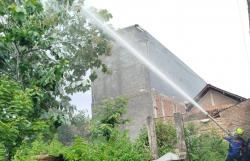 Meresahkan, Damkar Ponorogo Evakuasi Sarang Tawon Vespa Berukuran Besar