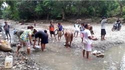Penambang Emas Tradisional di TTU Desak Pemerintah Terbitkan IPR