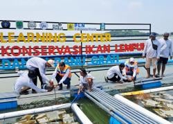 Ikan Lempuk Berlimpah, Cerita Sukses Kolaborasi Warga dan Indonesia Power yang Buat Danau Jernih