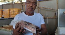 Dari Gudang Sederhana, Filet Rangga Menguasai Pangandaran hingga Priangan Timur