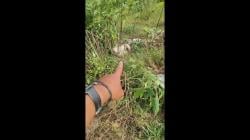 Limbah Jeroan Ayam Berbau Busuk Gegerkan Warga Jelok, Boyolali