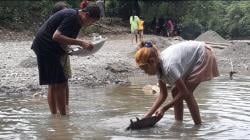 Lingkungan Hidup dan Surat Izin: Tambang Emas Tradisional Sumba TImur dan TTU di Simpang Jalan