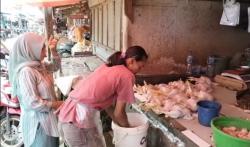 Harga Ayam Melonjak Jelang Nataru, Pedagang di Pandeglang Keluhkan Penjualan