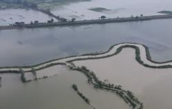 Hujan Deras Rendam 328 Hektare Sawah di Lamongan, Empat Kecamatan Terdampak