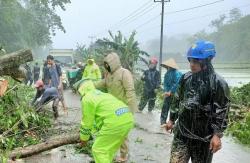 Pohon Tumbang Tutup Akses Jalan di Barru, Polisi: Tidak Ada Korban