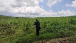 Bukan Sawit, Ratusan Hektar Kawasan Hutan di Madiun Akan Diubah Menjadi Lahan Tebu