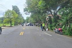 Kecelakaan di Kulonprogo, Seorang Ibu Tewas Tertimpa Dahan Pohon yang Patah