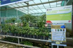 Program Jerami Jadi Media Tanam untuk Petani, Pertamina JBB Raih Rekor MURI