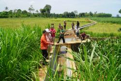 Blusukan ke Sawah, Bupati Cek Pembangunan Irigasi, Perkuat Progam Ketahanan Pangan