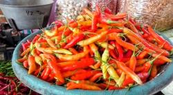 Harga Cabai dan Sayur Mayur di Pemalang Alami Kenaikan