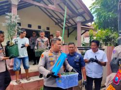 Tanaman Ratusan Ganja Dalam Rumah Kontrakan di Jombang Dijual untuk Rokok, Segini Harganya