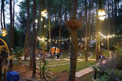Menikmati Sunrise Menoreh dari Glamping De’Loano, Liburan Mewah di Tengah Hutan Pinus